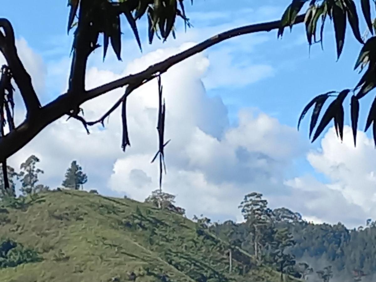 Lazy Bear Lodge 埃拉 外观 照片
